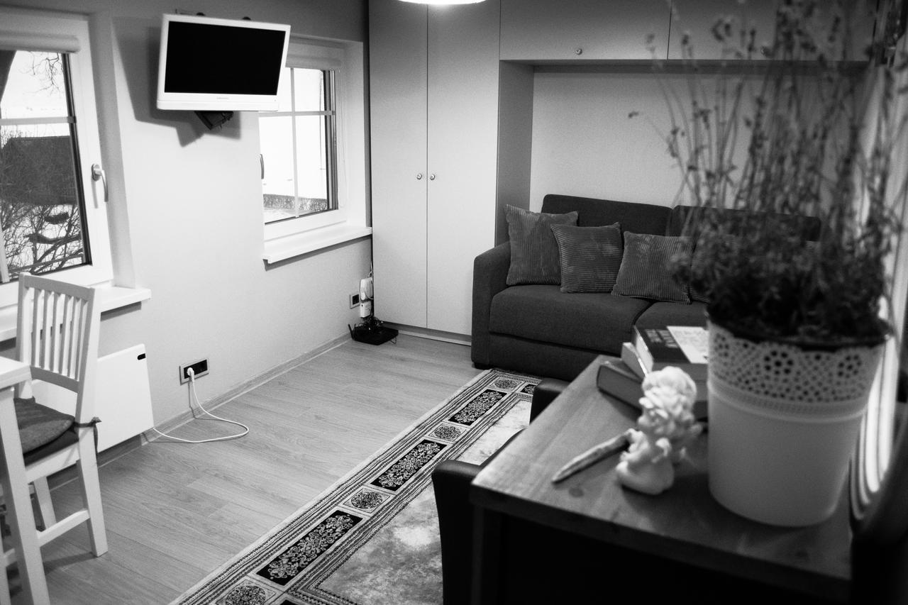 Skruzdynes Apartamentai ニダ エクステリア 写真