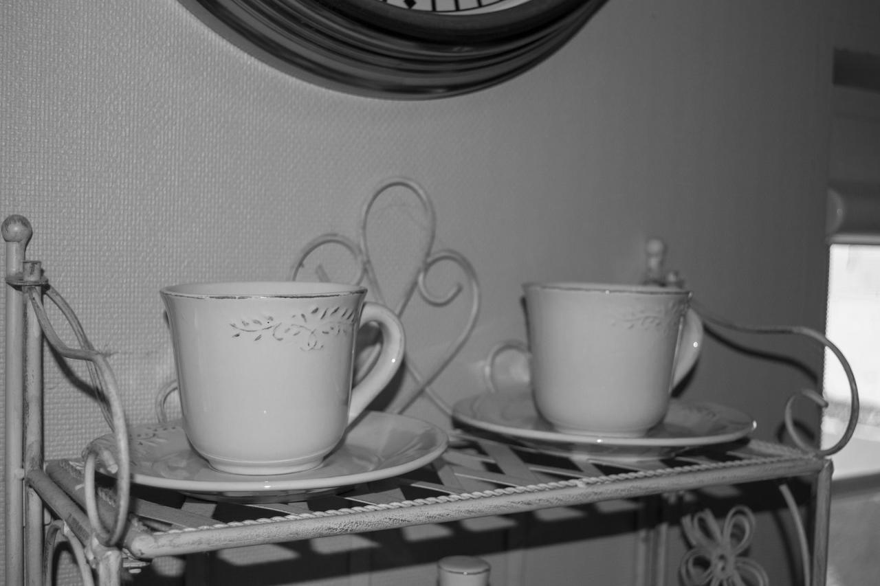 Skruzdynes Apartamentai ニダ エクステリア 写真